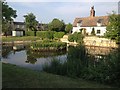 Comberton Village Pond in Comberton