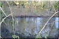 Pond by Youngmans Rd in NR18 0SB