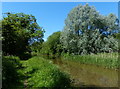 The Oxford Canal near Nethercott in OX5 3BW