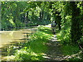 Wooded stretch of the Oxford Canal in OX5 3HE