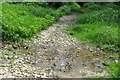 A small stream flows over the Thames Path in OX14 4NF