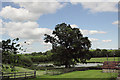 Large Pond and Island behind Hallswell Farm in EX36 4HS