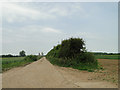 Concreted farm roadway to silos in the distance in PE34 3HS