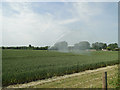 Irrigating the wheat crop at Little London, near Northwold in IP26 5NQ