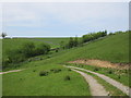 Track above Foss Gill in Calton