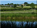 Greenhill Farm viewed from the Oxford Canal in OX5 3BQ