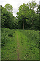 Path in Blackmoor Copse in SO30 2HB