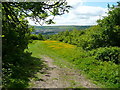 Grassland at the top of the Crematorium grounds, Elland in HX3 9FL