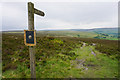 The Pennine Way by Mount Pleasant in HX7 7AZ
