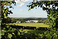 Newton Farm seen through Road Hedge in EX37 9RD
