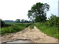 Footpath and Farm Road, Bratoft in PE24 5DN