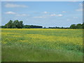 Crop field off Abbotsley Road in PE19 6UB