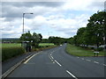 Bus stop and shelter on Back Lane, Great Lumley in DH3 4JJ