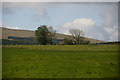 Fields near Drumcairn, near Blackford in PH4 1QR