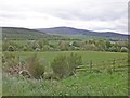 Farmland, near Pitchroy in AB37 9BQ