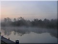 Morning Mist on the Yare in NR13 5RE