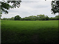 National Trust field at Runnymede in TW20 0AP