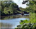 Narrowboat heading north along the Oxford Canal in OX5 2NZ