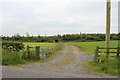 Farm Track to the Underpass (A75) in DG1 4LA