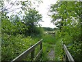 Footbridges on the Wales Coast Path in NP19 4WN