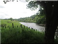 River Calder east of Padiham in BB12 6PB