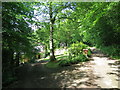 Track into Pond Wood in TN17 2PS