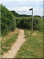 Bridleway to walk wood in HP23 5QJ