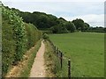 Bridleway and Turlhanger's Wood in HP23 5QJ