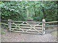 Norley Inclosure, gate in SO41 5RT
