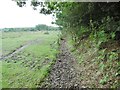 Norley Inclosure, embankment & ditch in SO41 5RT