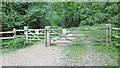 Norley Inclosure, gates in SO41 5RU