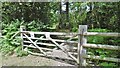 Norley Inclosure, gate in SO41 5RU