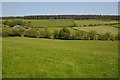 Farmland west of Clocaenog in LL15 2NH