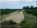 Track near Great Paxton in PE19 6RA