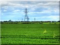 Pylons across Farington Moss in PR26 7QN