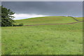 Fields North of Hood Ridding Farm in LA8 0NL