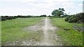 East Boldre, forestry track in East Boldre