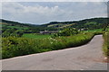 Mid Devon : Country Lane in EX17 3QH