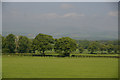 Fields and trees at Keithock in DD9 7PY