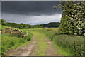 Footpath between Low Bleaze and Bleasehall Wood in LA8 0PE