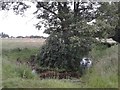 Tributary of the River Lark in IP28 6UD