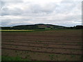 Farmland near Letham in KY15 5RG