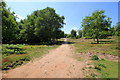 Path on Bickerton Hill in CH3 9LP