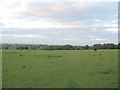 Grazing land at Wyre Hall Farm in LS27 7FA