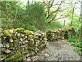 Footpath crossing wall, Coed Llyn Mair in LL41 3AQ