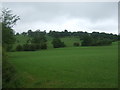 Farmland north of Ashbourne Road (B5032) in ST10 1SL