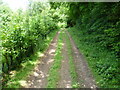 Bridleway into Fanscoombe Wood in TN25 5DN