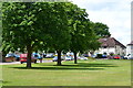 Trees on the green at Featherstone, Blindley Heath in RH9 8JQ