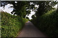 Mid Devon : Country Lane in EX5 5PT