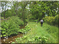 Footpath beside Scale Beck in CA16 6TH